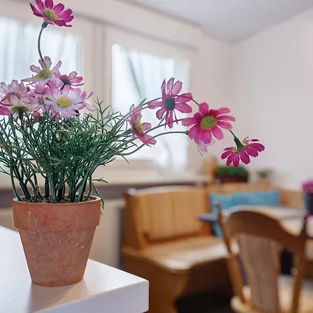Appartamento Haus Der Gemuetlichkeit Costanza